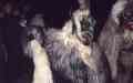 1997_4.jpg