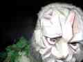2003_X_Q_Golling_0059.JPG