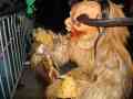 DSC03733.JPG