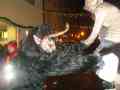 DSC05746.JPG