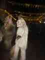 DSC05773.JPG